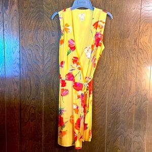 Wrap dress from the Limited